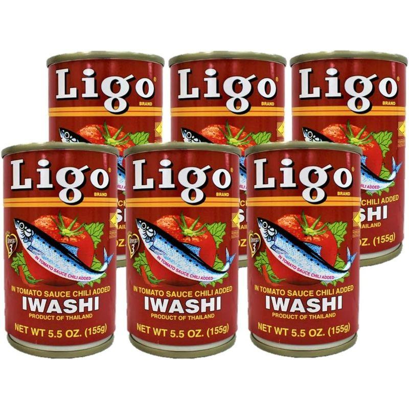 Sardines IN TOMATO SAUCE CHILI ADDED 155g×6 Ligo イワシの缶詰 トマトソース漬け