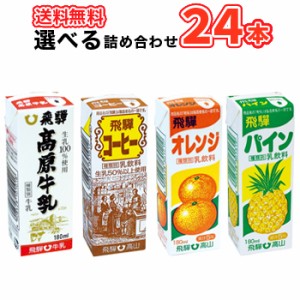 選べるセット飛騨牛乳詰合せセット全種類 4種類×6本  クール便　紙パック 牛乳・コーヒー・オレンジ・パイン 送料無料