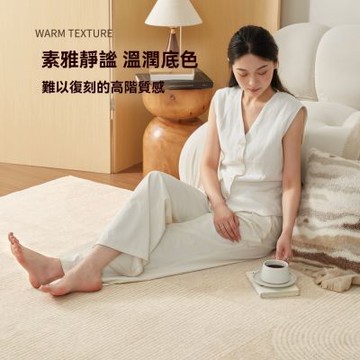 【匠俱】地毯 高級感防水免洗可擦墊160x230CM(免洗地毯)