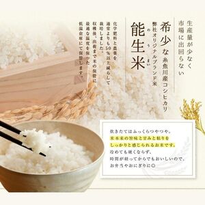 新潟県産コシヒカリ  [玄米]30kg 農家直送（小分け・精米サービス可能）