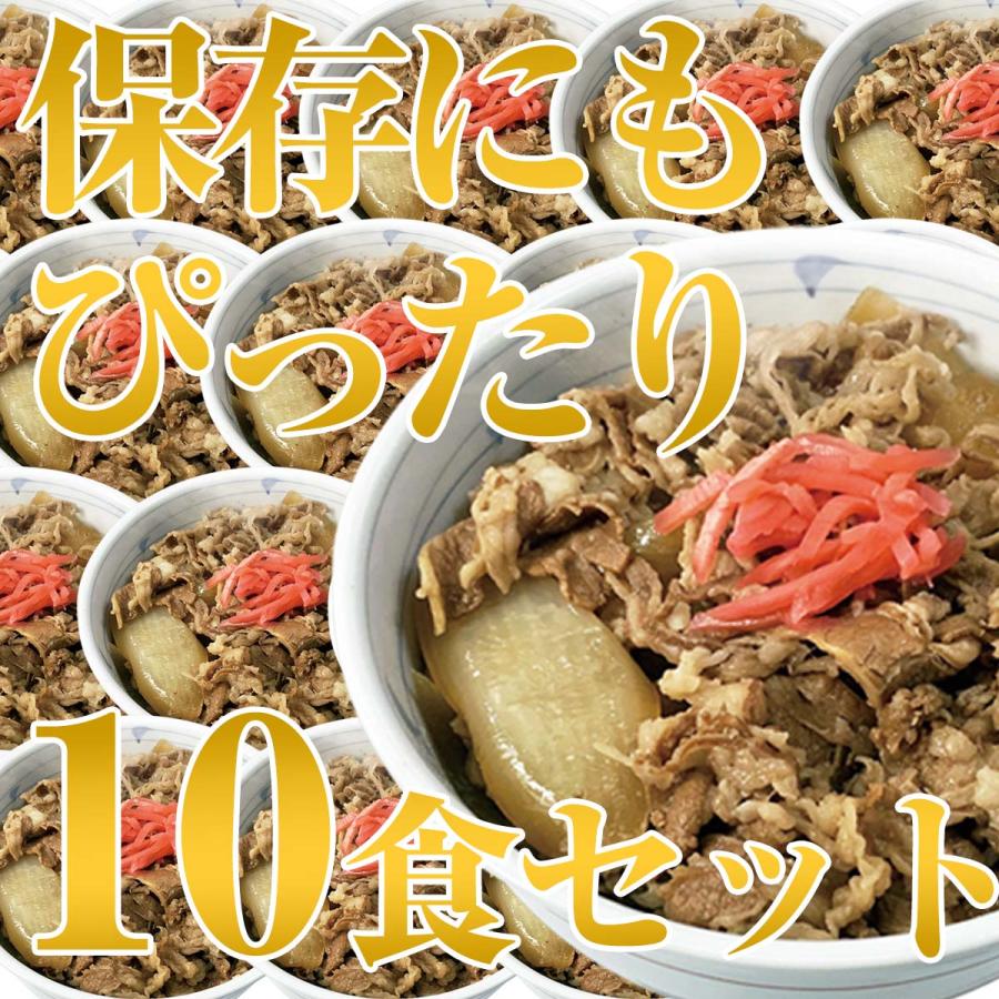 やまと特製 牛丼 10パック セット