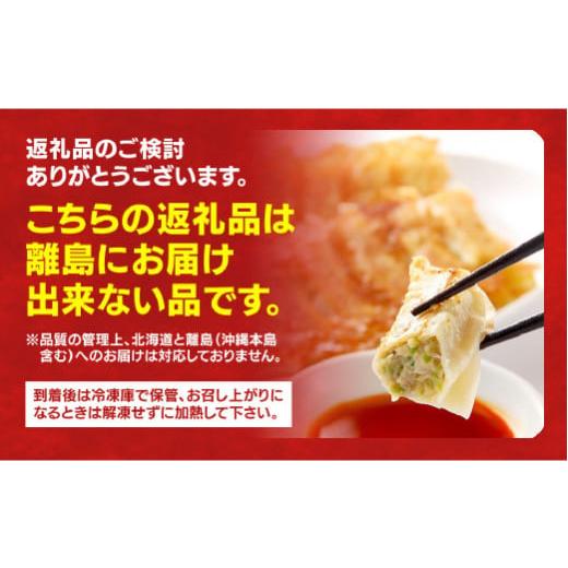 ふるさと納税 栃木県 宇都宮市 　餃子30個入り×2箱