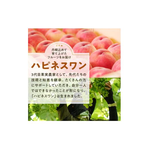 ふるさと納税 山梨県 甲州市 旬の採れたてシャインマスカット3.0kg（4房〜6房）(HO) C5-401