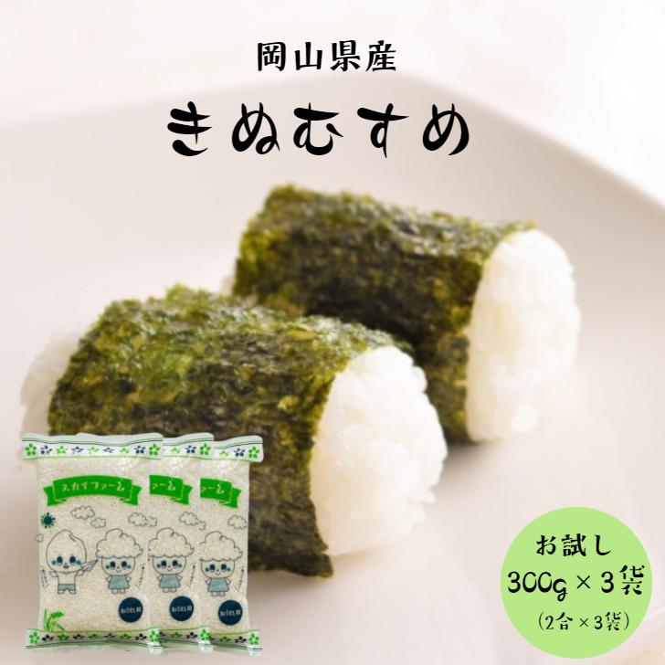 新米 令和5年産 岡山県産 きぬむすめ 900g ポイント消化 白米 食品 お試しセット 1kg以下 メール便 国産 送料無料