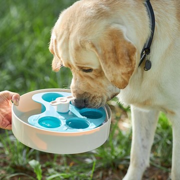 【貓狗用品】PetDreamHouse 旋轉益智慢食碗 調色盤