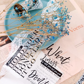 NO.067 愛過 Loved  / 紙膠帶 Masking Tape