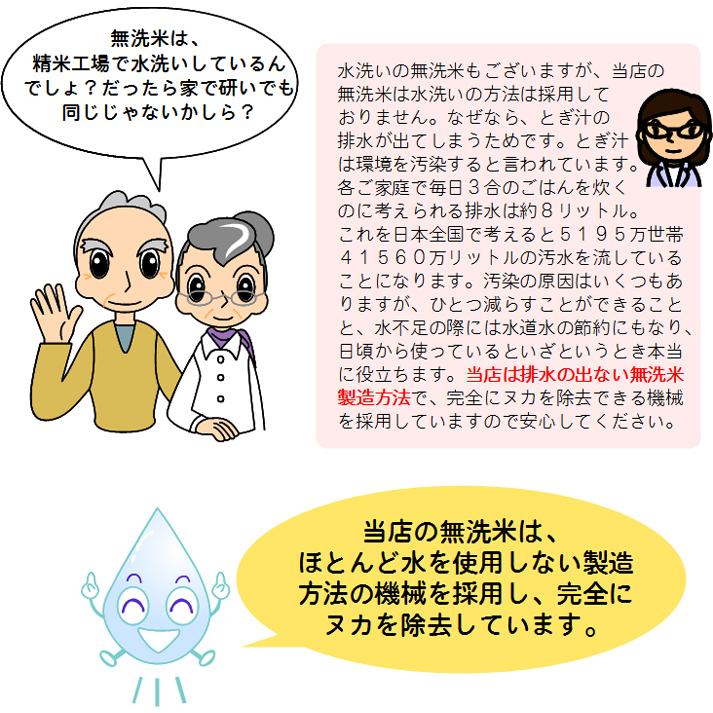 米 2kg 無洗米 送料無料 九州産「心」 おためし レターパックなどで発送します