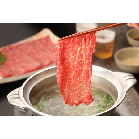 ふるさと納税 飛騨牛サーロイン・ももしゃぶしゃぶセット 各470g  牛肉 国産 ブランド牛 岐阜県下呂市