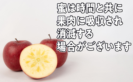 11～12月発送 最高等級「特選大玉」3種詰め合わせ 約5kg（サンふじ・金星・王林）糖度14度以上