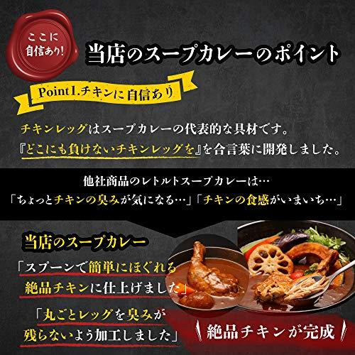 絶品チキンの札幌スープカレー 300g×2食セット レトルト 保存食にも