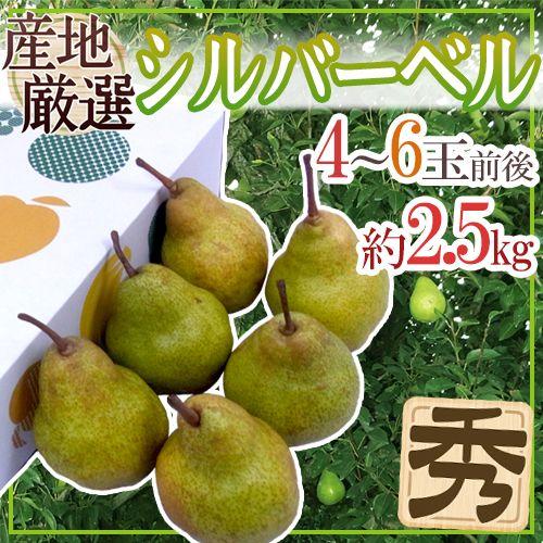 ”シルバーベル” 秀品 4〜6玉前後 約2.5kg 化粧箱 産地厳選 洋梨 送料無料