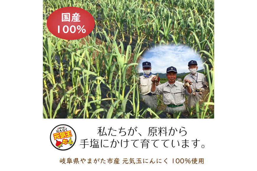 にんにくチップ 国産 無添加 150g [No.659]