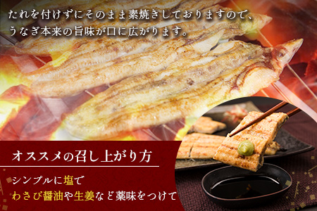 ［玄人の一品］うなぎ白焼き 2尾 合計300g以上 宮崎県産鰻 化粧箱入り 蒲焼タレ付