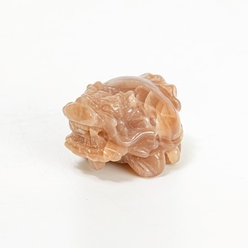 天然彩石小龍龜 | 橙月光