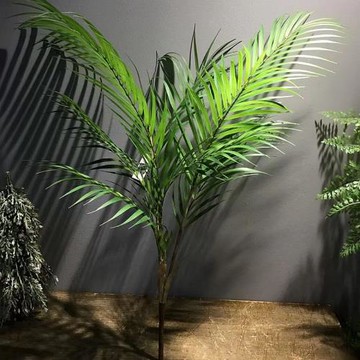 仿真葉子仿真棕櫚葉散尾葵椰子葉文竹草竹葵盆景植物墻裝飾配材