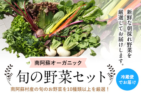 南阿蘇オーガニック 旬の野菜セット10種類以上詰め合わせ《30日以内に順次出荷(土日祝除く)》熊本県 南阿蘇村 野菜 カブ ビーツ サニーレタス クレソン ブロッコリー 水前寺菜 ほうれん草２種 チンゲン菜 春菊 スイスチャード