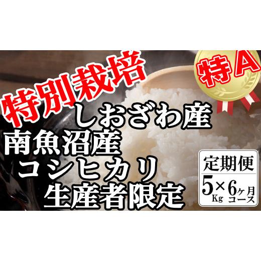 ふるさと納税 新潟県 南魚沼市 特別栽培 生産者限定  南魚沼しおざわ産コシヒカリ