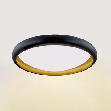 60W遙控吸頂燈 B262-81-24741