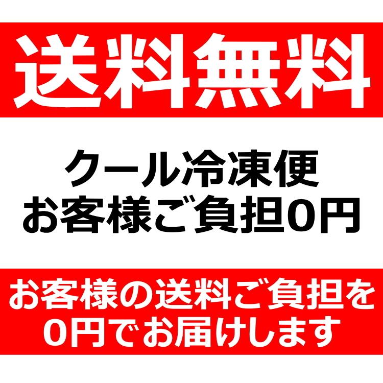 餃子 ギョーザ 10パック 取り寄せ 手づくり 冷凍 点心 中華