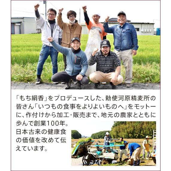 食物繊維 β(ベータ)グルカン 国産もち麦「もち絹香（もちきぬか）」(100g×14袋入)2袋セット 勅使川原精麦所