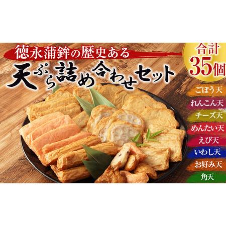 ふるさと納税 徳永蒲鉾の歴史ある 天ぷら 詰め合わせ セット 9種 てんぷら 熊本県