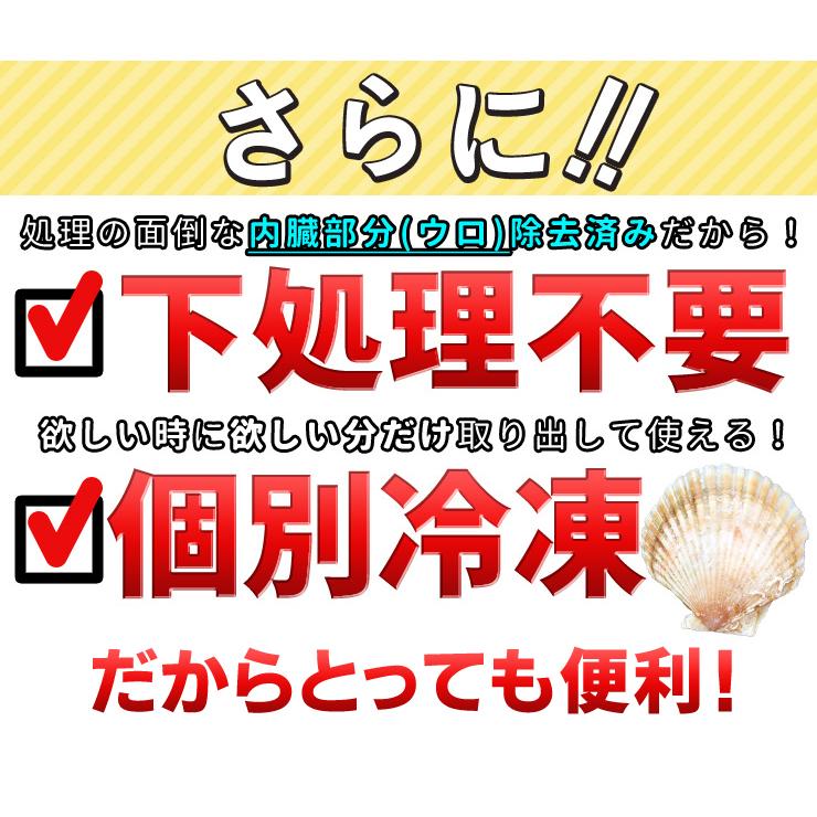 ほたて片貝 ２０枚 送料無料 冷凍 北海道産 ホタテ 殻付き 貝柱 海鮮 バーベキュー BBQ