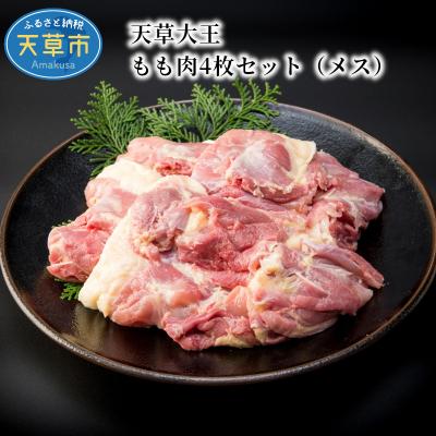 ふるさと納税 天草市 天草大王　もも肉4枚セット(メス)_S081-013A