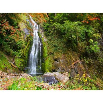 福壽山武陵｜連休假期.最高折$500｜合歡山武嶺.武陵桃山步道.入住福壽山農場國民賓館3日｜員林台中出發_26XGTMNFLH