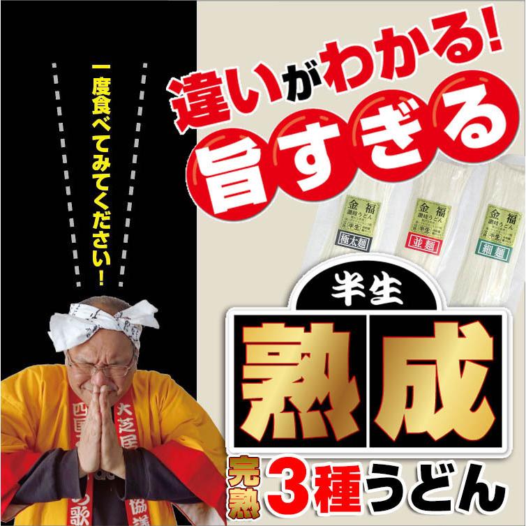 20時間熟成  半生 讃岐うどん 3種麺 つゆ付きセット 便利な個包装 750g 送料無料 最安値挑戦 得トクセール 特産品