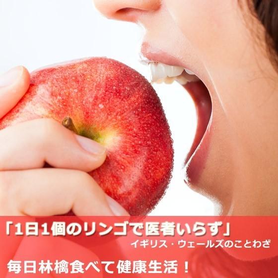 まるかじり-サンふじ リンゴ 秀品小玉 10kg 36〜44玉 送料無料