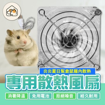 《家有毛孩🐾》倉鼠風扇 倉鼠散熱 倉鼠降溫 透明風扇 倉鼠整理箱 USB接頭靜音風扇倉鼠籠散熱 倉鼠降溫 倉鼠窩降溫風扇