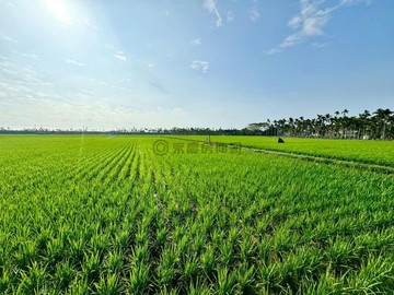南州5.6分合法面積方正農地(M2N2)好規劃｜屏東縣南州鄉萬華段