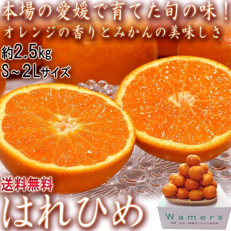 はれひめ 約2.5kg S〜2Lサイズ 愛媛県産 オレンジの香りに蜜柑の味わい！旬のえひめフルーツ