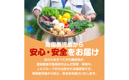 旬鮮野菜・果物セット（12～14品目）　K072-001