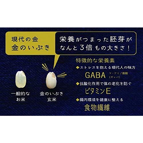 おくさま印 契約栽培 金のいぶき プレミアム玄米 パック ごはん 120g×12個