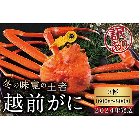 ふるさと納税 越前がに（オス）「ずわいがに」中サイズ（600g-800g）訳あり 3杯 福井県越前市