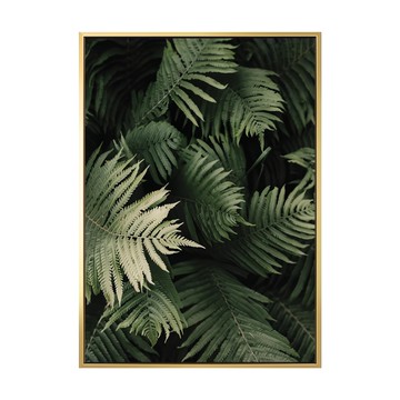 森森之意 NS 金色  59.4 x 42cm