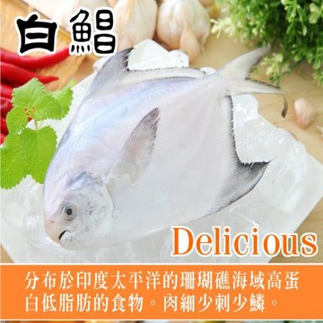 【海之醇】野生正白鯧魚-3隻組(300-350g/隻)