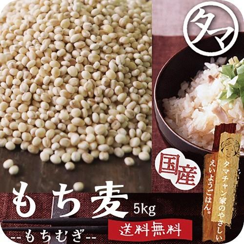 もち麦 国産 5kg 雑穀 雑穀米 食物繊維 無添加 令和元年度産 β-グルカン ダイエット ヘルシー 美容 健康 送料無料