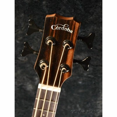 Cordoba Mini II Bass EB-E 新品 ミニアコースティックベース《アコベ 