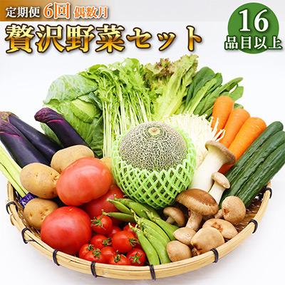 ふるさと納税 雲仙市 雲仙の野菜 16品目以上 フルーツ・キノコ付きの野菜セット 偶数月コース全6回