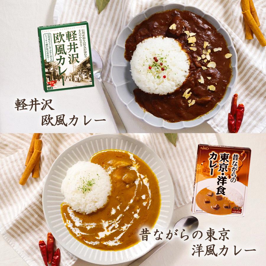 ご当地カレーとラーメン10種セット東日本選抜　レトルトカレー 名店ラーメン ギフト 2023