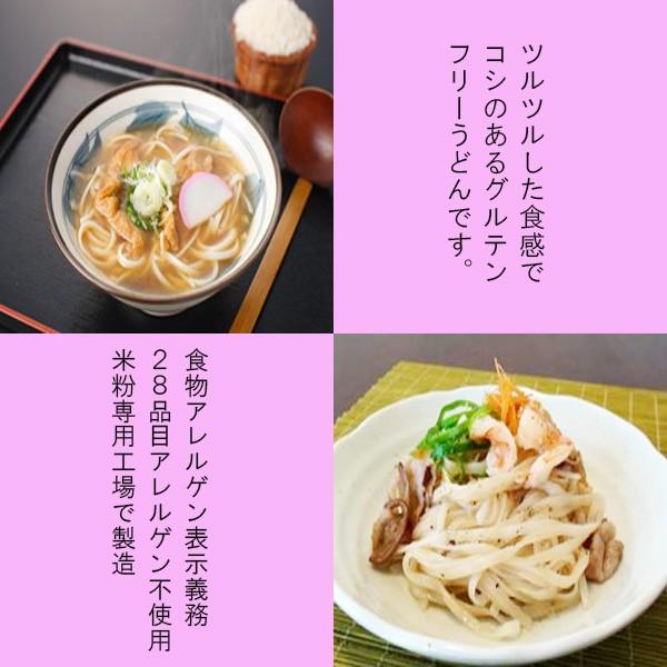 小林生麺　グルテンフリーヌードル うどん(お米) 5袋セット小麦不使用 乳不使用 卵不使用 アレルギー対応食品