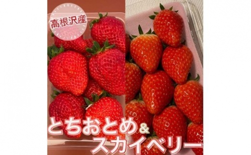 とちおとめ＆スカイベリーセット※2022年12月下旬～2023年4月下旬頃に順次発送予定