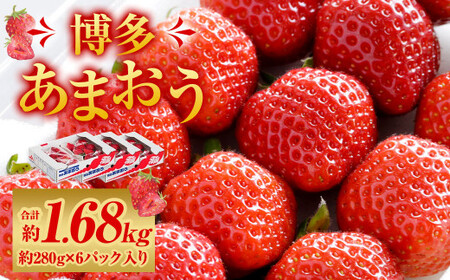 福岡県産 博多あまおう 約1.68kg (約280g×6パック入り) いちご 苺 ※北海道・沖縄・離島配送不可