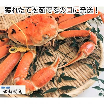 ふるさと納税 美浜町 越前がに　大1杯