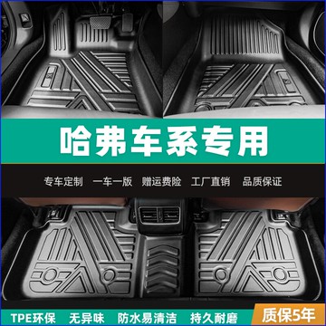 適用于哈弗神獸大狗赤兔初戀h6 F7X h7x h2 H9 F5 M6 TPE汽車腳墊