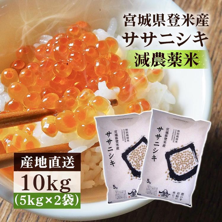 米10kg 送料無料 ささにしき 米 宮城県産 特別栽培米 減農薬米 10kg 5kg×2 精米 ササニシキ 宮城県産  令和5年産