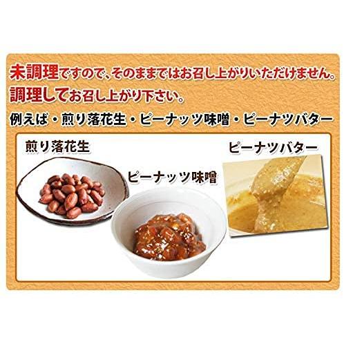 八街産落花生 未調理なま落花生 (ナカテユタカ 二等 500g)