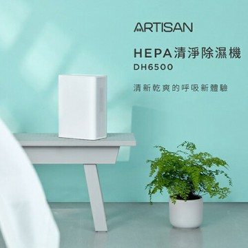ARTISAN 電子式清淨除濕機 DH6500